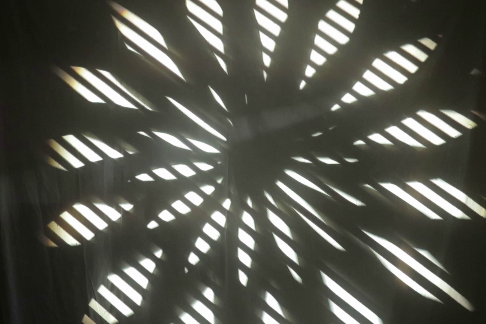 Flower power lines cassette2